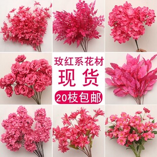 ����·�����b�ˇ֦�b����10õ�tɫ�ٻ����滨�廨���T���û�c