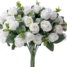 �羳���滨 5��11���ȼ���Сõ�� �Ҿ��b�Ʒ��c�[�O�ٻ����ϻ�