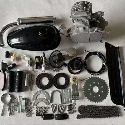2 Stroke Other walking systems