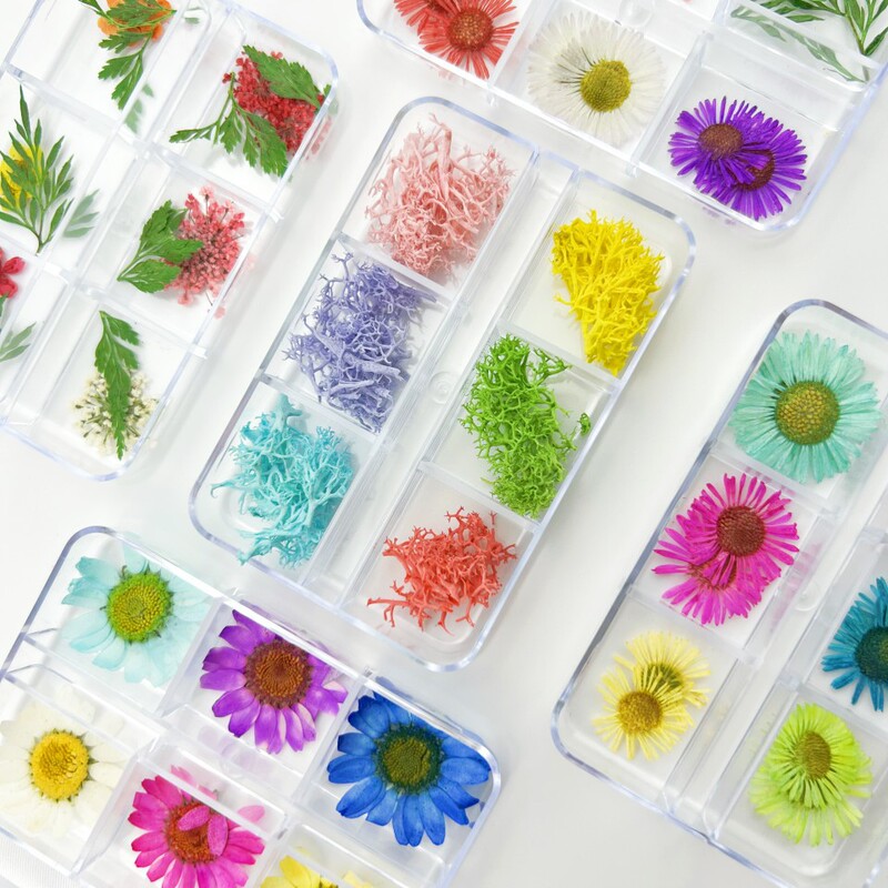 Nail Art Dried Flower Japanese Series 12 Color Hydrangea Lace Flower Little Daisy Oil Painting Wind Floral Flower Baffles Nail Art DIY Decoration