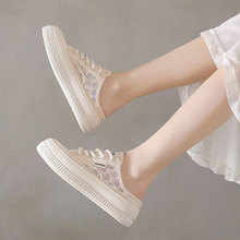 ^ЬŮ2024ļ¿ЋD⴩һ_őЬo׷Ь