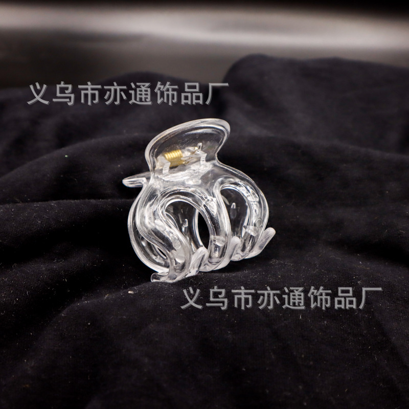 큰 호박 5.5cm