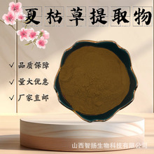 夏枯草提取物10:1水溶性夏枯草粉食品级原料固体饮料量大从优现货