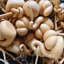 ��Ȼ���J����С���Z���J�����ְѼ��[��������·ׯ���JԴ�^���l