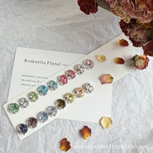 �A���Пo�p�o����8*10���ӵ��Ѷ��͸���@���p��DIY�������