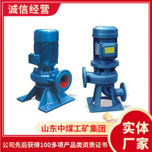 品牌LW立式排污泵   价格有LW立式排污  排污泵原厂