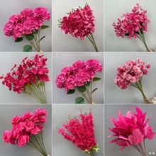 cõtɫϵֻĻYõbٻ·廨