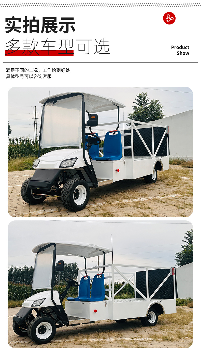 Golf Cart Manufacturer Foreign Trade Export Van Hydraulic Tailboard Transfer Vehicle Electric Sightseeing Vehicle 2-Seater