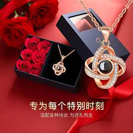 跨境ozon热销100种语言我爱你投影项链时尚百搭ins锁骨链情人礼物