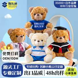 泰迪熊毛绒玩具定制小熊公仔玩偶学校吉祥物娃娃挂件来图来样订做