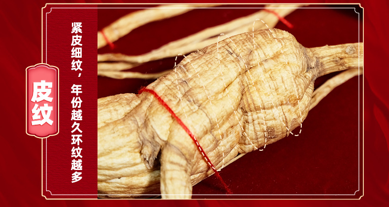 Changbai Mountain Wild Forest Ginseng Root Dried Whole Root for Traditional Herbal Decoction and Gift Box quality and texture