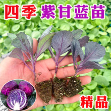 �ϸ��{���������ļ����N�ͺ����˿��������ϸ��{���m��������