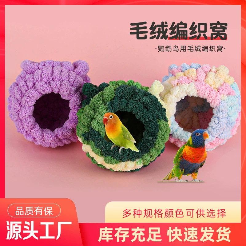 Попугай маленький питомец на зиму