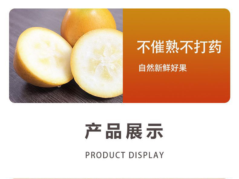 O1CN019Sb86E1DPJBJKRtlG_!!2215