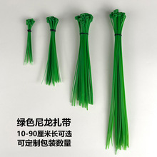 �Gɫ���������ٗl�̶�����10/20/25/30/40/50�����L��������