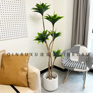 仿真沙生绿植多头龙舌兰北欧风装饰落地盆栽室内摆件睡莲多肉植物
