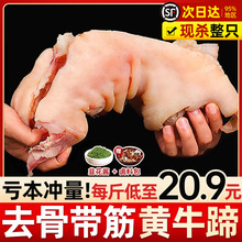 黄牛蹄子整只去骨牛肉带筋熟食脱无骨牛脚蹄筋生新鲜批发10斤商用