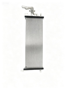 Direct sales from the original manufacturer H56A1301001AA 130101003 Lantu Dreamer Hybrid Low-Temperature Radiator