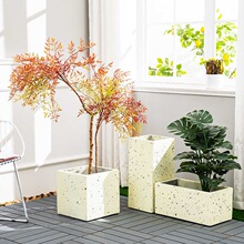 ˮ�໨�軨��Nֲ�仨�������Α���ͥԺ����Gֲ�辰�����V����