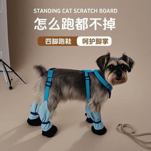 ������ˮЬ��ĥ�������⹷Ь�LͲС�ʹ���Ȯ���K�������x����Ь��