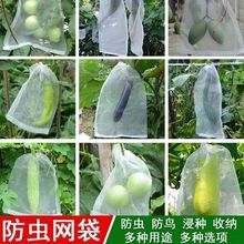 网袋套果袋尼龙纱网袋袋子防鸟网防虫水果防虫草莓透气袋一件代发