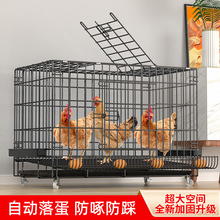 鸡笼子大号养鸡笼子家用室内滚蛋鸡笼自动出蛋母鸡笼鸭笼鹅笼批发