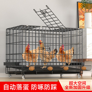 �u�\�Ӵ�̖�B�u�\�Ӽ����҃ȝL���u�\�Ԅӳ���ĸ�u�\���\�Z�\���l