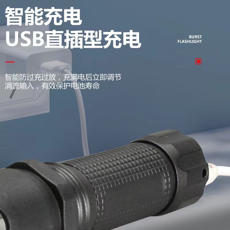 UV púrpura linterna USB recargable 365nm UV foco fijo linterna anti-falsificación detector de dinero fluorescente lámpara de detección de agente