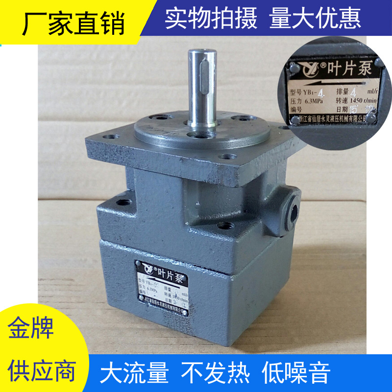 ��ݸ�������۾ⴲĥ����Һѹ��YB1-6.3 YB110ҶƬ��YLC���������