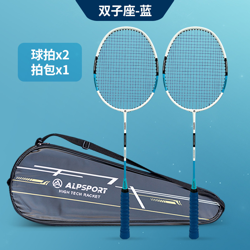 제미니 블루 2개 [무료 슈팅백]