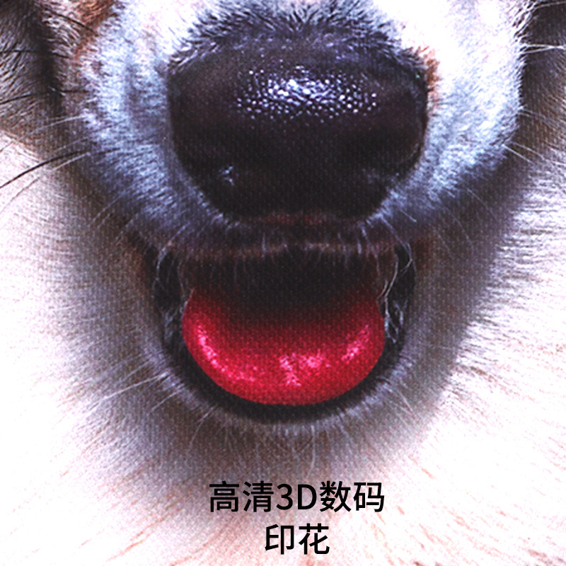 Máscara de protección solar para exteriores Patrón 3D Impresión digital Cubierta de cabeza de animal al por mayor Protección UV Cara Cubierta de conducción Gini