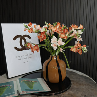 ���Sֱ�N �n�m������PU���滨�ٻ� �껨�zӰ���߼ҾӔ[���廨�OӋ