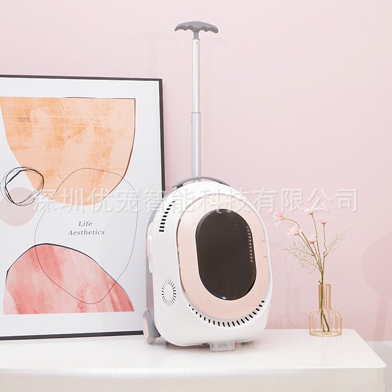 Pet Smart mochila solución visual graffiti Pet Smart trolley bolsa Bluetooth WiFi solución mochila inteligente