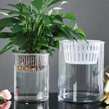 ˮ��ֲ������ƿ��͸��ֱͲ�A���λ�ƿ���s�G�}�������ˮ�B������