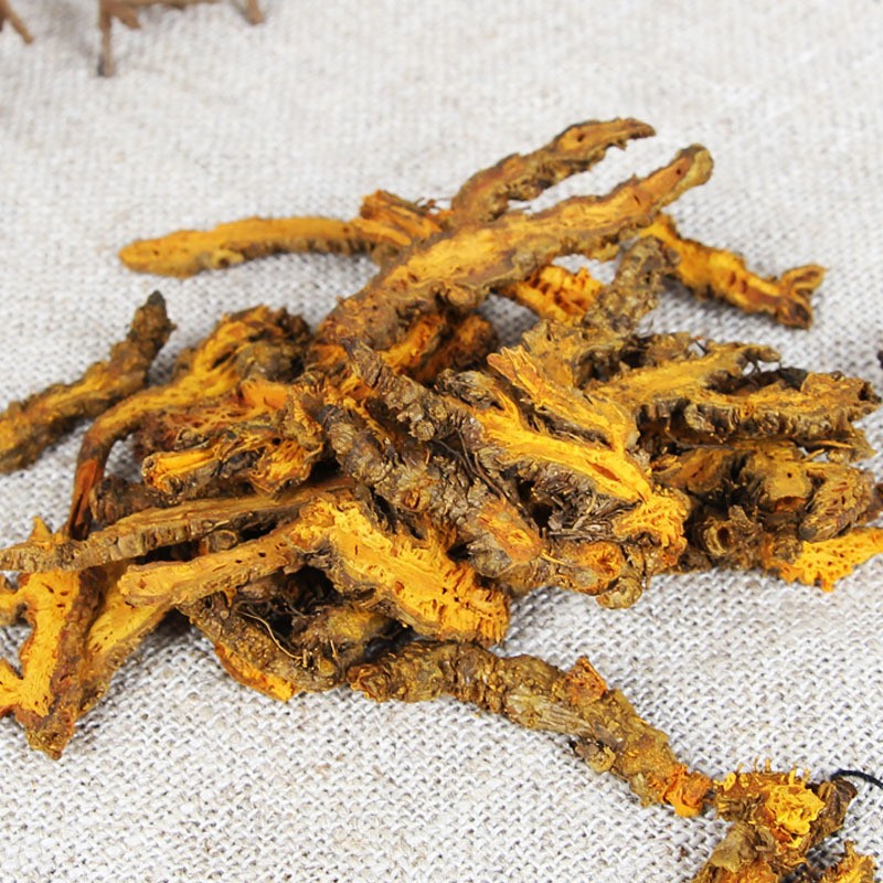 Huang Lian Powder Coptis chinensis Rhizome Fine Ground Bulk Herbal Powder 500g specifications