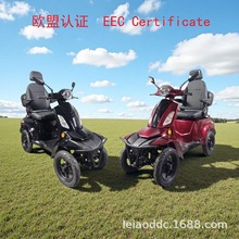 三蹦子出口工厂美国热销款雅迪电动四轮车低速60v锂电池电动车