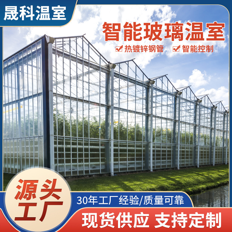 Glass Greenhouse Modern Agricultural Planting Greenhouse Greenhouse Engineering Flower Garden Breeding Shed Intelligent Glass Greenhouse Glass Greenhouse Modern Agricultural Planting Greenhouse Greenhouse Engineering Flower Garden Breeding Shed Intelligent Glass Greenhouse
