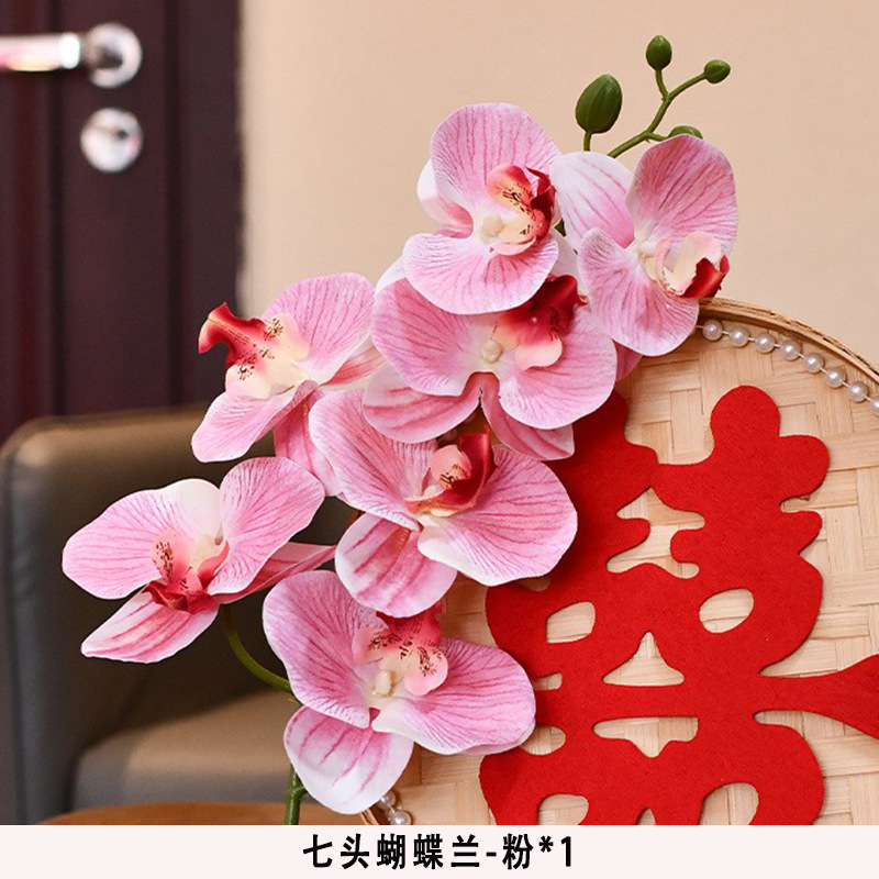 Seven-headed phalaenopsis-pink