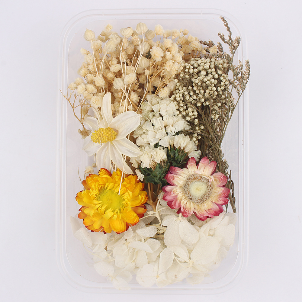 Flores secas preservadas hechas a mano, marco de fotos DIY, decoración mixta, materiales de aromaterapia, flores naturales, ramo de regalo para boda, San Valentín