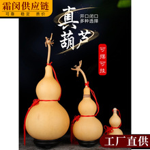 ��Ȼ�ش��]�ڎ�������J�[���T���T�Ҿ�С���J����_�ڿ��Ď����^