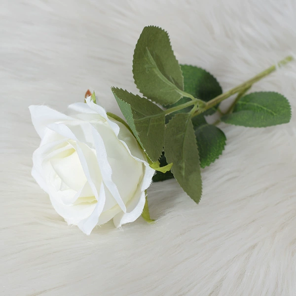 Little Paris White