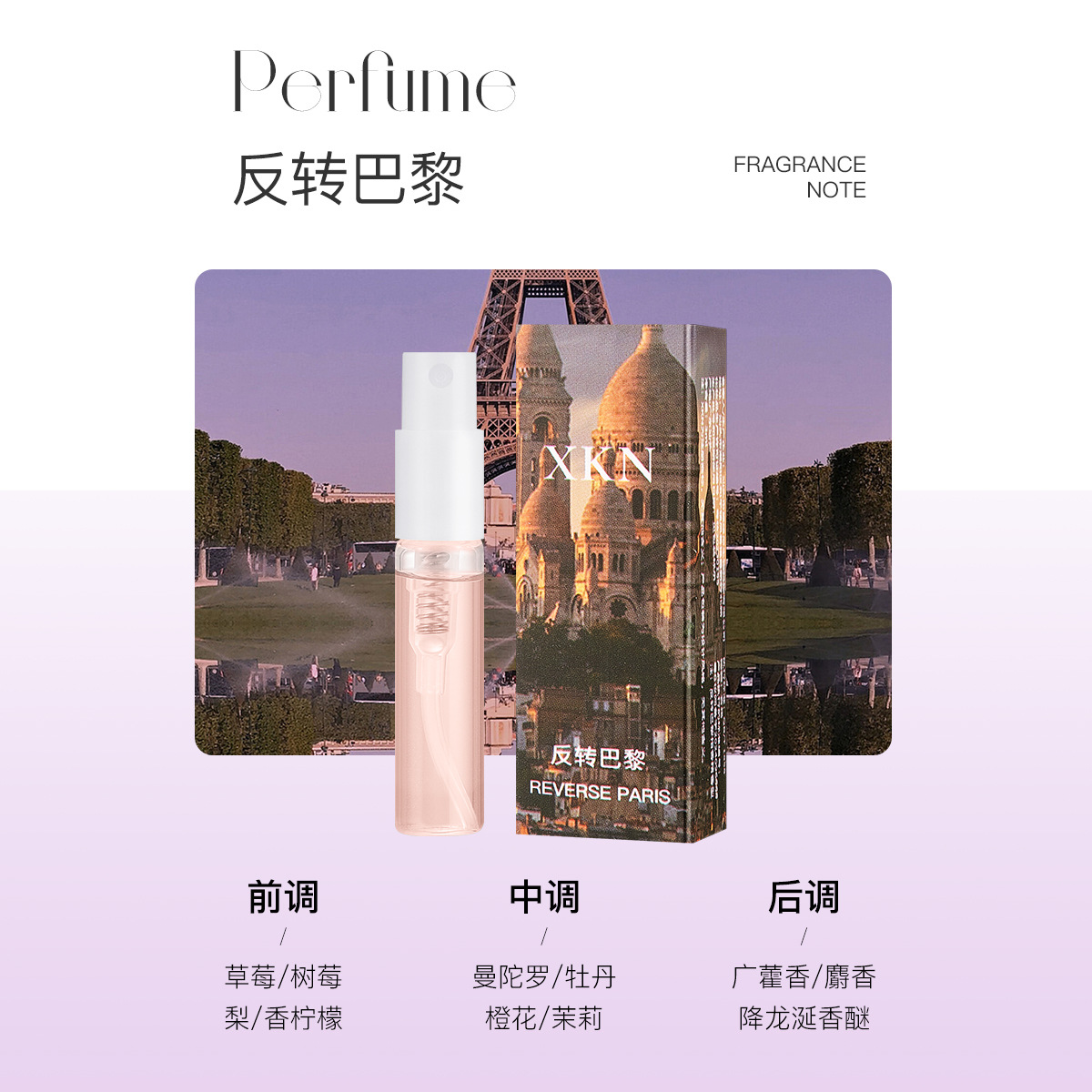 3ML-리버설 파리