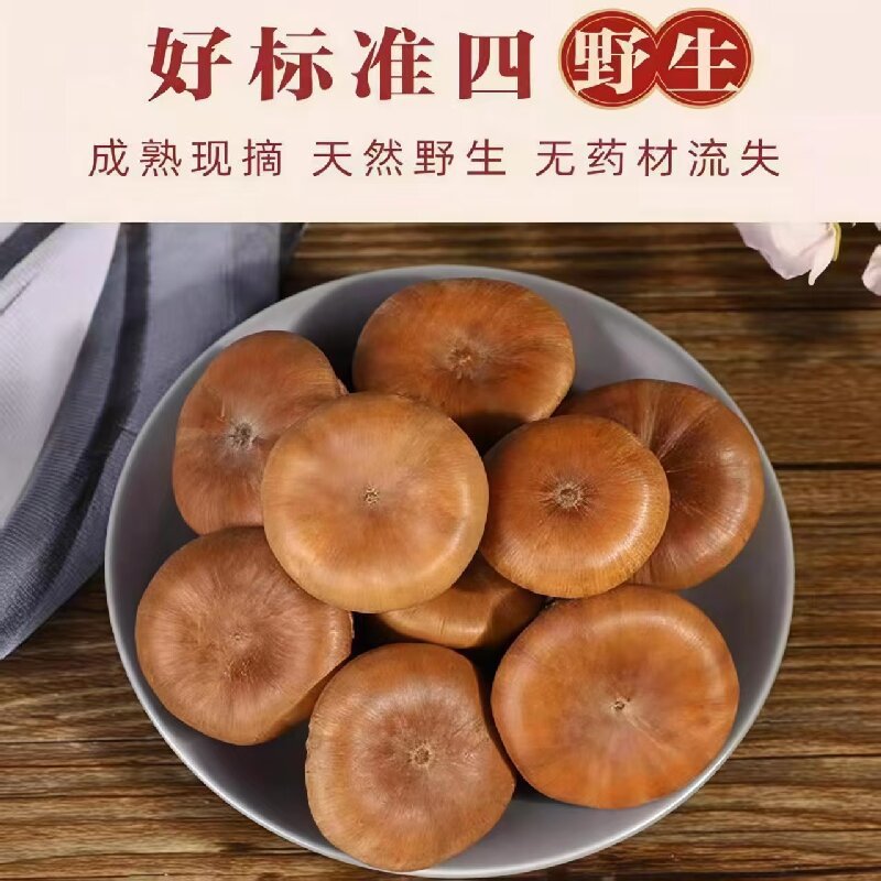 Feng Liu Guo (Lithocarpus/Sclerophyllous Oak Fruit) — Dried Food Herb for Wine Infusion & Soup specifications