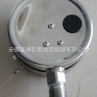 耐腐压力表YTF不锈钢316压力表