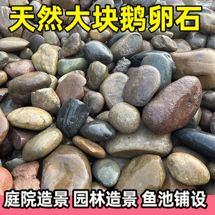 ����ͥԺ�Z��ʯˮ�ػ��@�쾰��̖ԭʯ�~���·��߅������Ȼ����ʯ