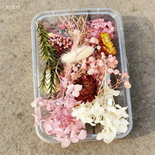 diy�Ʒ�ֹ��������ɻ������F�ȸ���ƿ���z�ֹ��ɻ����Ͽ羳