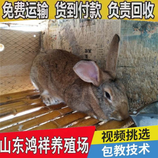 ���ꌦ�����l���ͱ����r�þ��ͷN�ô��N�����r���������L��ɢ�B��