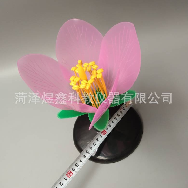 2025-03-13 20:51:10.jpg