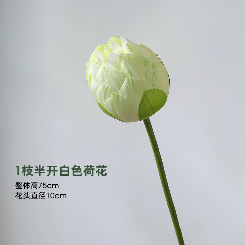 ハスの花のシミュレーション花は仏前の仏堂の蓮の花を供えて飾ります。|undefined