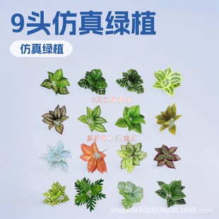����9�^�����~�廨����G������ֲ��G�}���b��҃Ƞ���DIY�b�Ʒ
